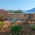 Tatil Evi Sasa *