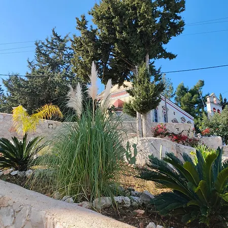 Sasa فيسكاردو