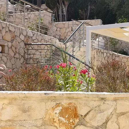 Sasa * فيسكاردو