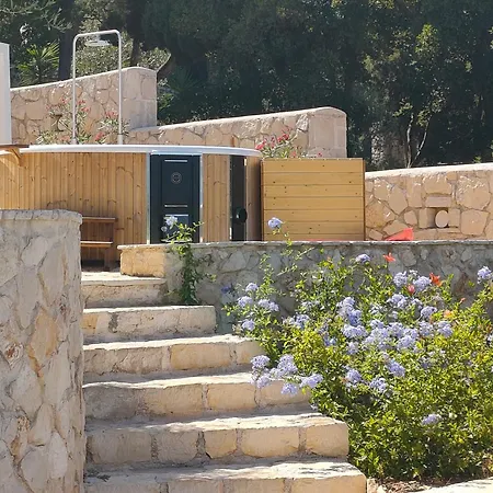 Sasa フィスカルドン