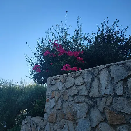 Dom wakacyjny Sasa